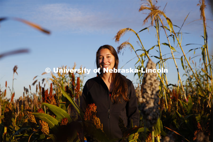 Graduate student Mackenzie Zwiener looks over ripe sorghum plants in her test field northeast of 84th and Havelock. September 29, 2020. Photo by Craig Chandler / University Communication.