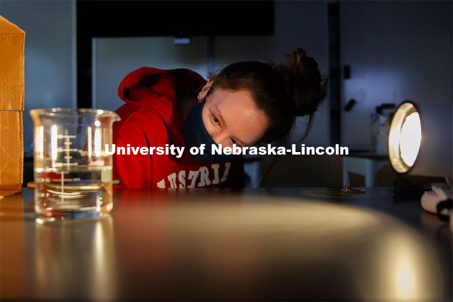 Raegan Hoyle, freshman from Fremont, Nebraska, watches for a reaction to light from her spinach leaf punches in a photosynthesis experiment. LIFE 120L - Fundamentals of Biology I laboratory. October 6, 2020. Photo by Craig Chandler / University Communication.