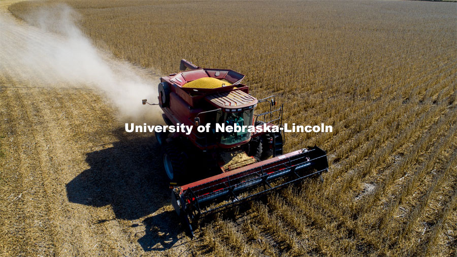 A combine works through a soybean field west of Firth, NE. Fall Harvest. October 6, 2020. Photo by Craig Chandler / University Communication.