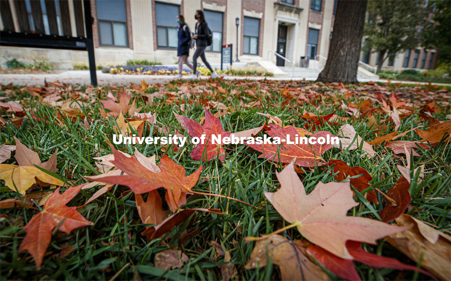 Fall leaves outside Andrews Hall. October 21, 2020. Photo by Craig Chandler / University Communication.