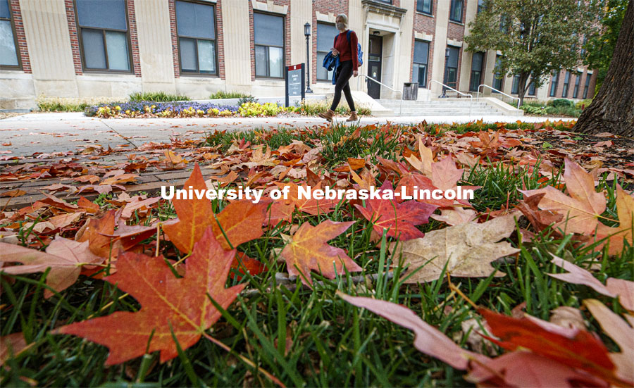 Fall leaves outside Andrews Hall. October 21, 2020. Photo by Craig Chandler / University Communication.