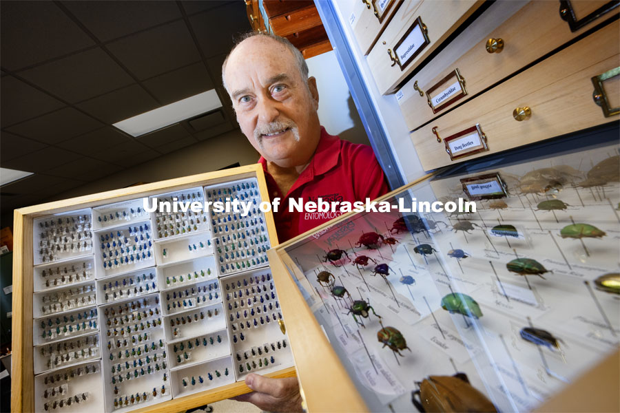 Steve Spomer, a research technician with the University of Nebraska–Lincoln’s Department of Entomology, will retire in December after 40 years with the university. He holds a tray of tiger beetles, his specialty, among the sample drawers in Entomology Hall. November 5, 2020. Photo by Craig Chandler / University Communication.