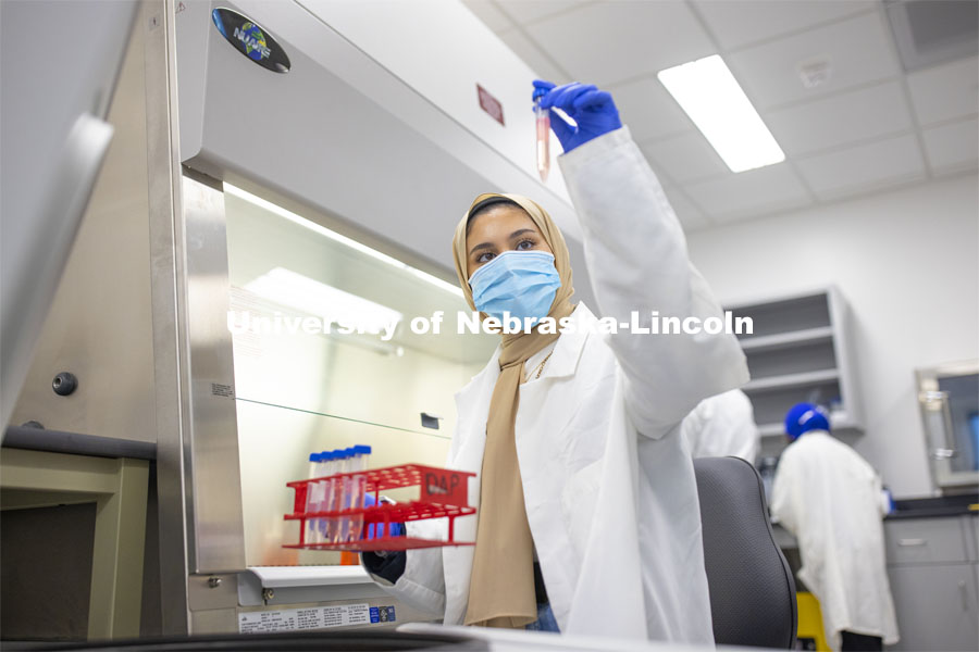 Mahaa Albusharif, student worker, works in the Nebraska Food for Health Center lab. November 19, 2020. Photo by Craig Chandler / University Communication.