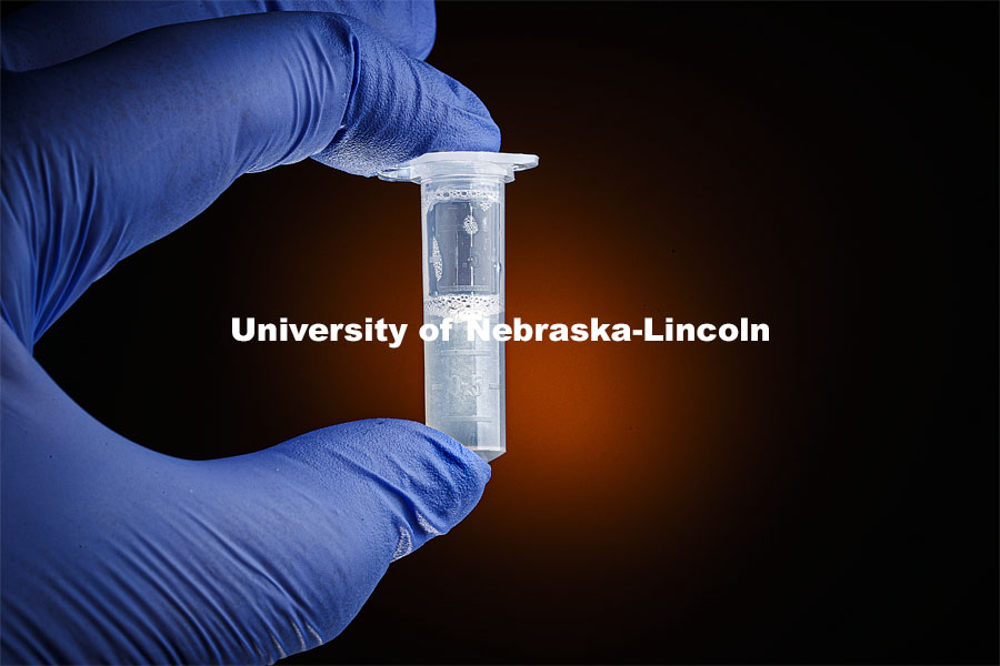 The new saliva-based COVID test the students, faculty and staff on campus in the spring will be using these sample tubes.  December 3, 2020. Photo by Craig Chandler / University Communication