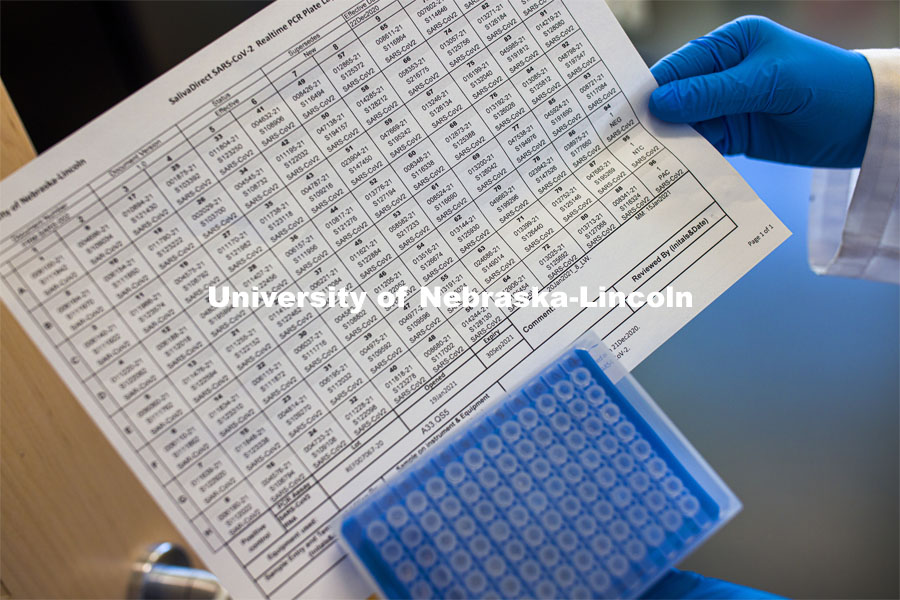 A printout follows the samples throughout the process. Each PCR plate holds 95 samples and a control sample. Saliva-based diagnostic testing program is managed by the university through lab space in the Veterinary Diagnostic Center. January 20, 2021. Photo by Craig Chandler / University Communication.