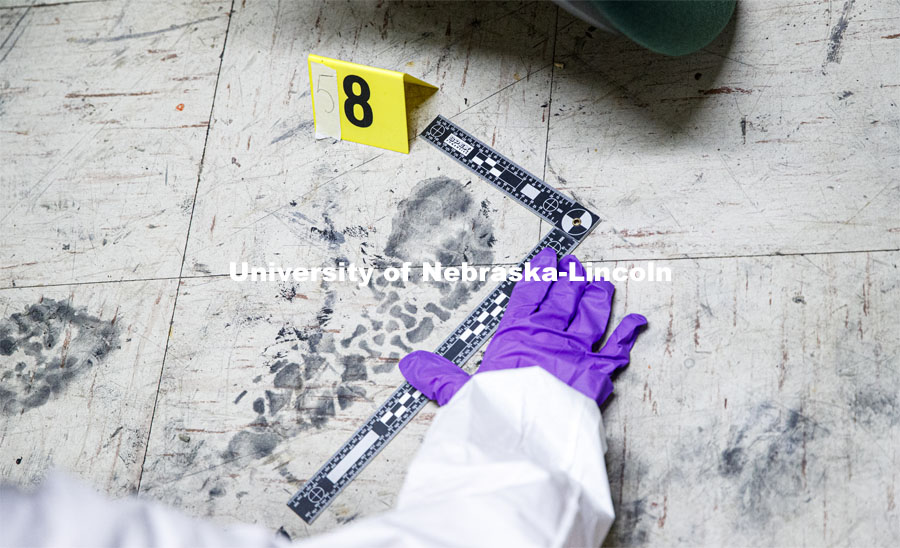 An evidence marker and a ruler is placed next to a footprint being collected as evidence. Forensic Science 485 is the capstone for the seniors. The CSI option students work a mock crime scene while the biochemistry option students process the samples. The class concludes with a mock trial. March 2, 2021. Photo by Craig Chandler / University Communication.