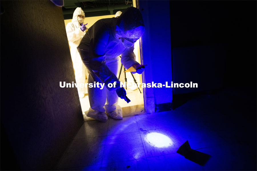 Symone Arends, a senior from Lincoln, shines an ultraviolet light onto the floor. The light will make body fluids and fibers glow when viewed through the orange filter she holds. Arends is working a mock crime scene in a basement room in Filley Hall. Forensic Science 485 is the capstone for the seniors. The CSI option students work a mock crime scene while the biochemistry option students process the samples. The class concludes with a mock trial. March 2, 2021. Photo by Craig Chandler / University Communication.