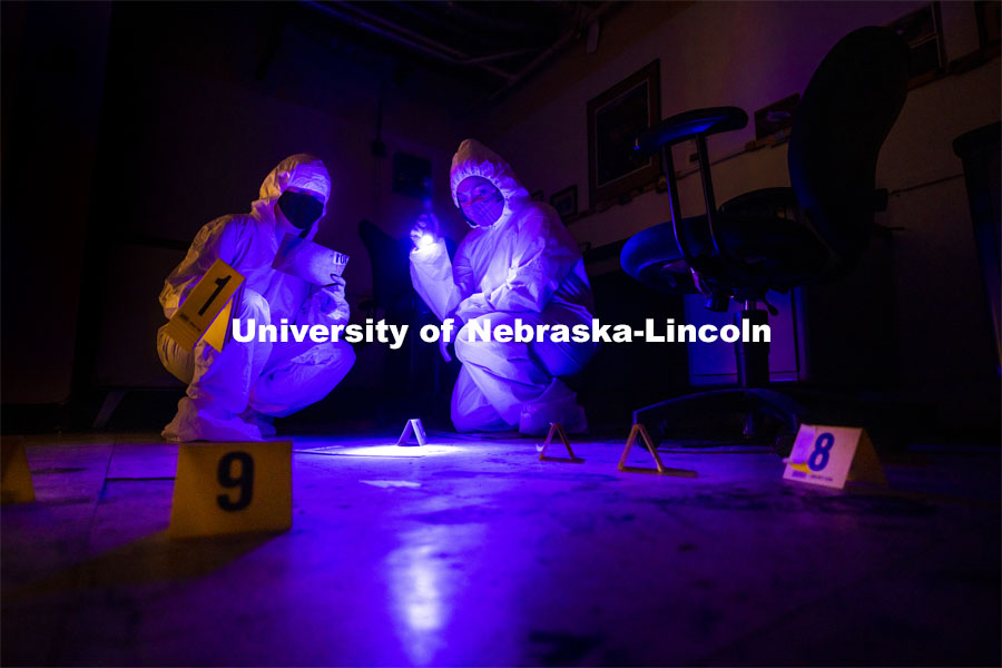 Symone Arends, a senior from Lincoln, shines an ultraviolet light onto the floor. The light will make body fluids and fibers glow when viewed through the filter held by Alysa Ehlers, a senior from Woodbridge, VA. The two are working a mock crime scene in a basement room in Filley Hall. Forensic Science 485 is the capstone for the seniors. The CSI option students work a mock crime scene while the biochemistry option students process the samples. The class concludes with a mock trial. March 2, 2021. Photo by Craig Chandler / University Communication.