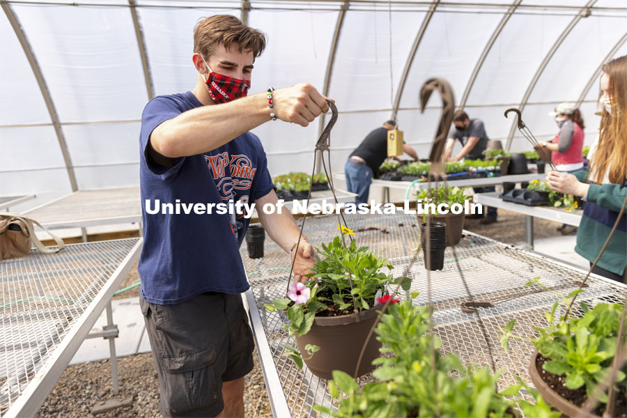 Tom Henry moves a finished hanging basket onto the rack so they can be watered during a club work session. Members of the horticulture club prepare plants in the greenhouses on east campus. The plants will be sold at their annual spring sale. April 1, 2021. Photo by Craig Chandler / University Communication.
