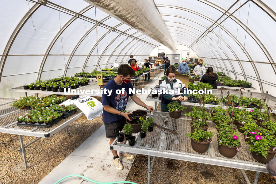 Members of the horticulture club prepare plants in the greenhouses on east campus. The plants will be sold at their annual spring sale. April 1, 2021. Photo by Craig Chandler / University Communication