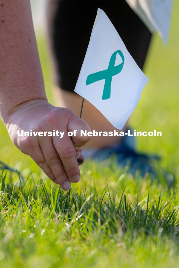 CARE Advocate Melissa Wilkerson places a flag at the Nebraska Union Greenspace. Flags and signs are placed in the Nebraska Union Greenspace to promote Sexual Assault Awareness Month. April 4, 2021. Photo by Jordan Opp for University Communication.