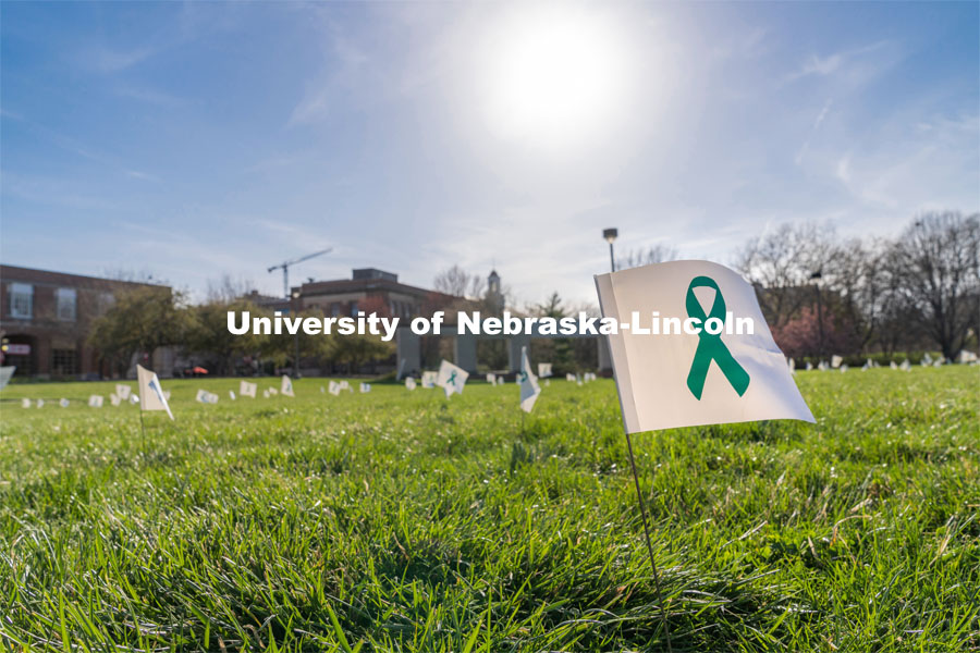 Flags are spread across the Nebraska Union Greenspace. Flags and signs are placed in the Nebraska Union Greenspace to promote Sexual Assault Awareness Month. April 4, 2021. Photo by Jordan Opp for University Communication.