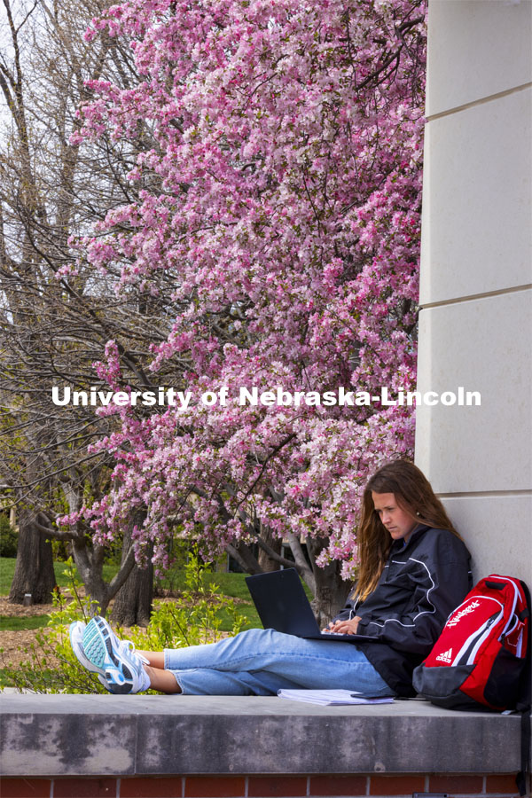Audrey Freyhof, a junior from Hamilton, Michigan, studies amongst the flowering trees on the ledge of the Meier Commons. Spring on City Campus. April 15, 2021. Photo by Craig Chandler / University Communication.