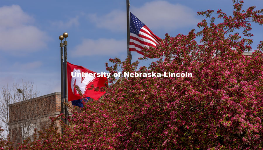 The University of Nebraska Flag and the American flag wave above the flowering trees on City Campus. Spring on City Campus. April 15, 2021. Photo by Craig Chandler / University Communication.
