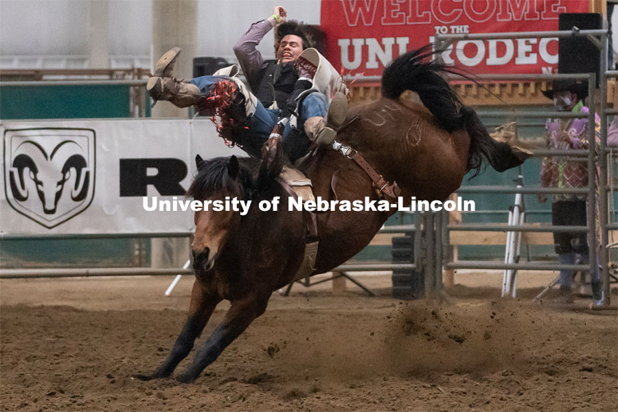 Nebraska’s Jack Miller competes in the bareback riding event during the Nebraska Cornhusker College Rodeo at the Lancaster Event Center. April 23, 2021. Photo by Jordan Opp for University Communications.