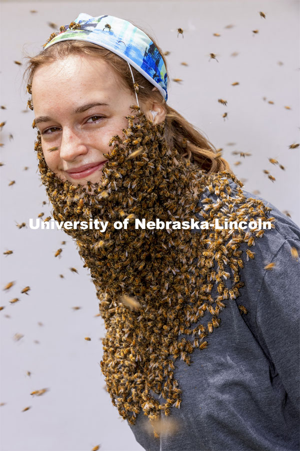 Bee beards in Judy Wu-Smart’s UNL Bee Lab. The lab took an afternoon away from bee keeping to have some fun and create bee beards. They also brought props to give the photos a pirate theme. May 11, 2021. Photo by Craig Chandler / University Communication.