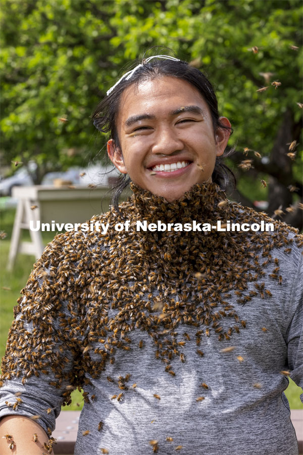 Bee beards in Judy Wu-Smart’s UNL Bee Lab. The lab took an afternoon away from bee keeping to have some fun and create bee beards. They also brought props to give the photos a pirate theme. May 11, 2021. Photo by Craig Chandler / University Communication.