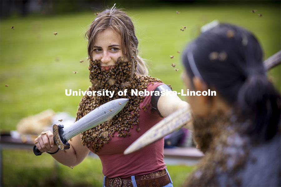 Two bearded foes stage a mock battle as Courtney Wallner and Earl Agpawa face off wearing their bee beards in Judy Wu-Smart’s UNL Bee Lab. The lab took an afternoon away from bee keeping to have some fun and create bee beards. They also brought props to give the photos a pirate theme. May 11, 2021. Photo by Craig Chandler / University Communication.