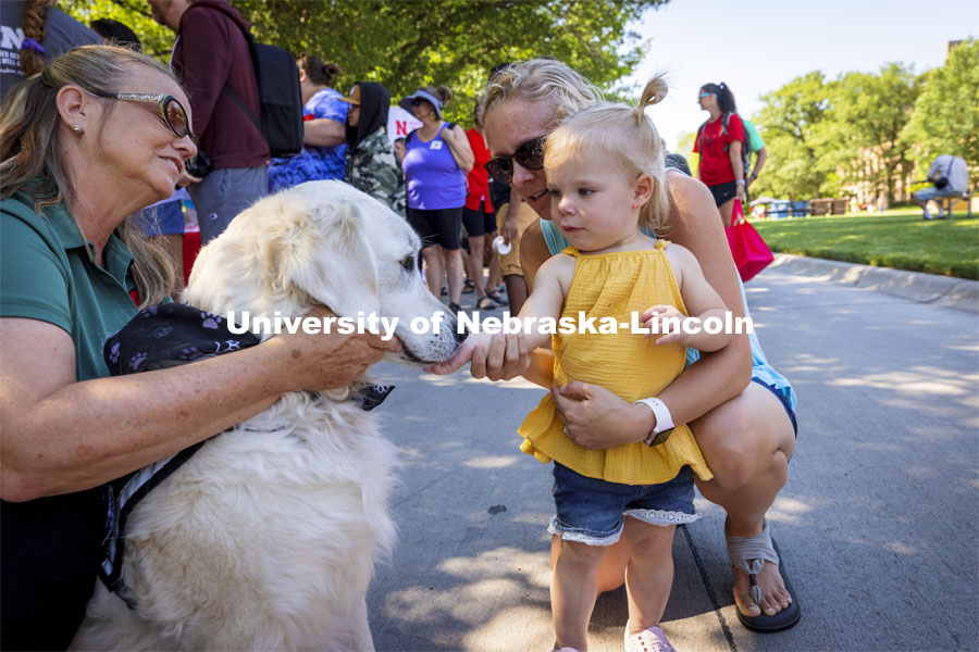 Elsie Koehn makes a friend as she and her mom, Lindsay, meet Louie and her owner, Abby Clutter, with Healing Heart Therapy Dogs. The East Campus Discovery Days and Farmer’s Market at UNL is a fun, family-friendly event for all ages. It’s more than a farmer’s market. It’s more than a science day. Come for the hands-on, science-focused fun. Stay to enjoy live music and food trucks. Shop at our farmer’s market and vendor fair. June 12, 2021. Photo by Craig Chandler / University Communication.