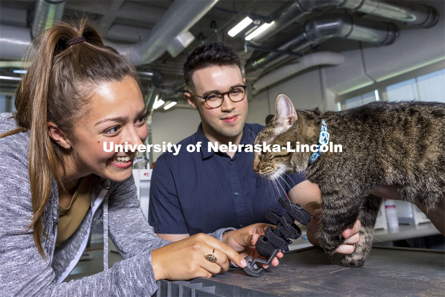 Recent Husker graduate Abby Smith (left) holds a 3D printed prosthetic prototype that she and senior Harrison Grasso (center) helped develop for Olive (right), who is missing part of her left foreleg. Olive is a three-legged cat adopted by Beth Galles, assistant professor of practice with the Veterinary Medicine Education Program. June 14, 2021. Photo by Craig Chandler / University Communication.