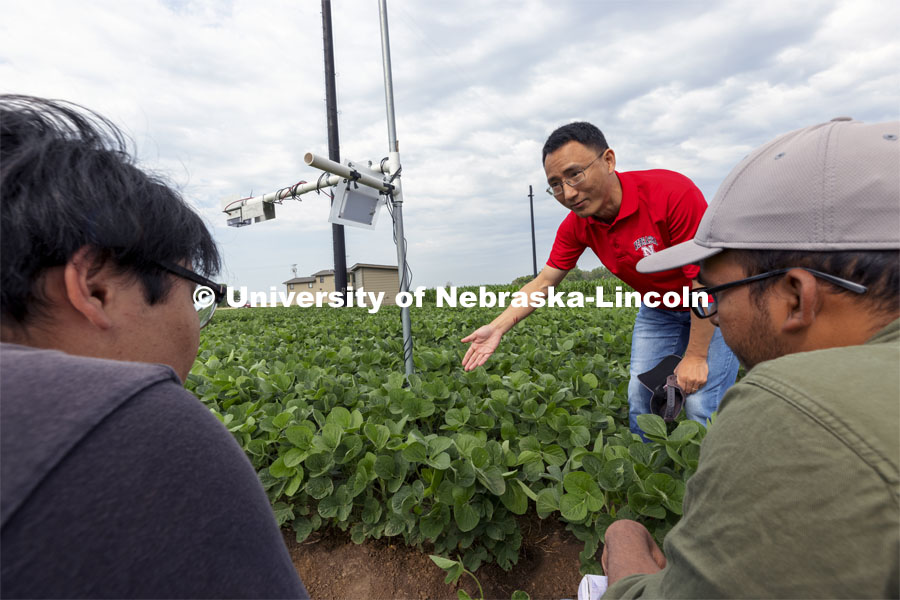 Yufeng Ge talks with Nipuna Chamara and Jun Xiao Zhang as they look over a plant remote sensor system being tested at the one-acre field phenotyping site at ENREC, near Mead, Nebraska. Yufeng Ge, Associate Professor of Biological Systems Engineering, is advancing high-tech plant phenotyping to study plant’s physical traits, leading to improved yields, drought resistance. He is photographed in the spider cam field near Mead, Nebraska. July 8, 2021. Photo by Craig Chandler / University Communication.
