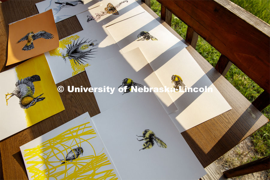 Artwork is diplayed on a table at Cedar Point Biological Station near Ogallala, Nebraska. July 19, 2021. Photo by Annie Albin / University Communication