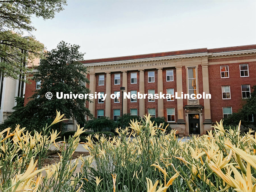 Exterior view of Avery Hall on City Campus. July 21, 2021. Photo by Katie Black / University Communication.