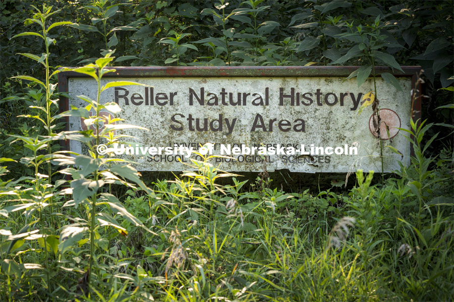 The original signage for the Reller Prairie Field Station hides in the weeds. August 3, 2021. Photo by Craig Chandler / University Communication.