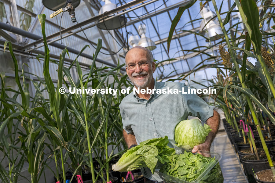 Daniel Schachtman is targeting the leafy green vegetable industry in California – lettuce and spinach—producing bio fungicides and working with the NUtech Ventures' Customer Discovery Program. August 6, 2021. Photo by Craig Chandler / University Communication.