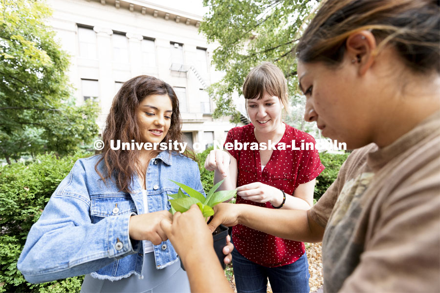 Courtney and Nathaly Hanson propagate a pathos plant with the help of CASNR academic advisor Molly Brandt. The group of The Integrated Science, Applied Science, and Undeclared CASNR students were transplanting the cuttings for their rooms. This is CASNR welcome event on East Campus. August 19, 2021. Photo by Craig Chandler / University Communication.