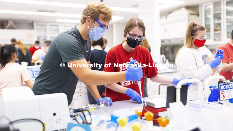 Eli Havekost and Jenna Junker, both seniors from Beatrice, pipette liquids during their Biochemistry 401 lab in Beadle Hall. September 1, 2021. Photo by Craig Chandler / University Communication.