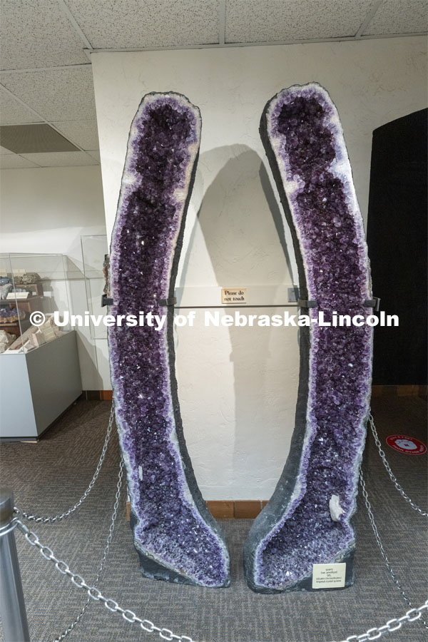 The giant amethyst geode quartz crystal. This particular specimen, often called the “purple parenthesis”. State Museum exhibits in Morrill Hall. September 2, 2021. Photo by Craig Chandler / University Communication.