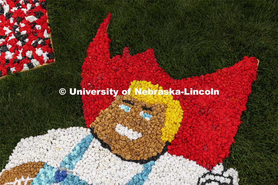 The Herbie Husker yard display is all pomped out and ready for Homecoming. Homecoming decorating. September 30, 2021. Photo by Craig Chandler / University Communication