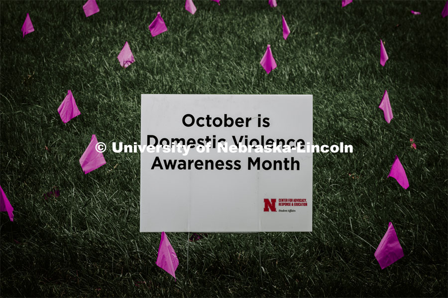 Hundreds of purple flags dot the mall on East Campus to call attention to Domestic Violence Awareness Month. October 14, 2021. Photo by Craig Chandler / University Communication.