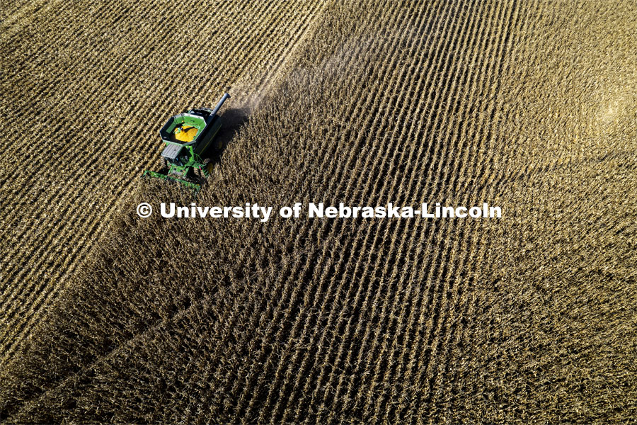 Corn harvest in southeast Lancaster County. October 30, 2021. Photo by Craig Chandler / University Communication.