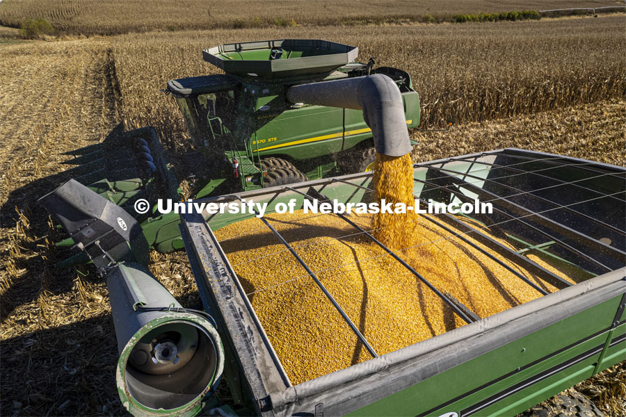 Corn harvest in southeast Lancaster County. October 30, 2021. Photo by Craig Chandler / University Communication.