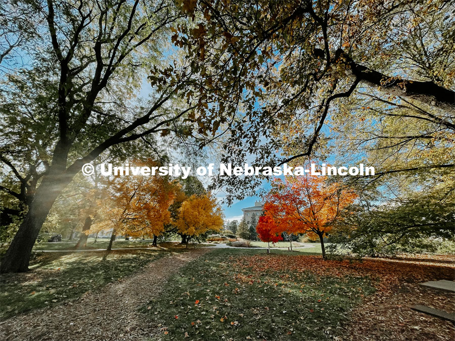 Fall on East Campus. November 6, 2021. Photo by Katie Black / University Communication.