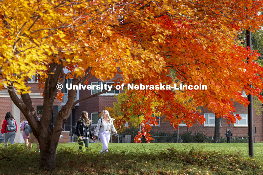 Cydne Munson, a junior from Brookings, South Dakota, and Macy Baldwin, a junior from Grand Island, walk past the fall colors on city campus. Fall on city campus. November 8, 2021. Photo by Craig Chandler / University Communication.