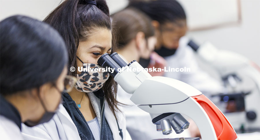 Huskers completing a microbiology and human health (BIOS 111) lab in Beadle Hall use microscopes to view slides they prepared as part of an assignment. January 24, 2022. Photo by Craig Chandler / University Communication.