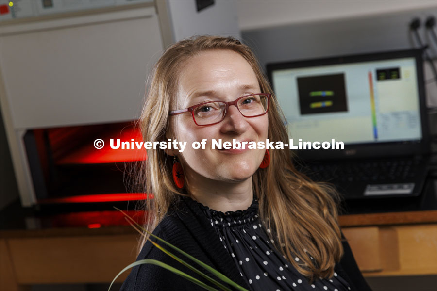 Katarzyna Glowacka, Assistant Professor of Biochemistry, is using a five-year, nearly $1.4 million grant from the National Science Foundation’s Faculty Early Career Development Program to study how a process called non-photochemical quenching, or NPQ — a plant’s first-line defense against damage to its photosynthetic machinery — plays a role in enabling miscanthus to fend off cold-induced damage. March 1, 2022. Photo by Craig Chandler / University Communication.