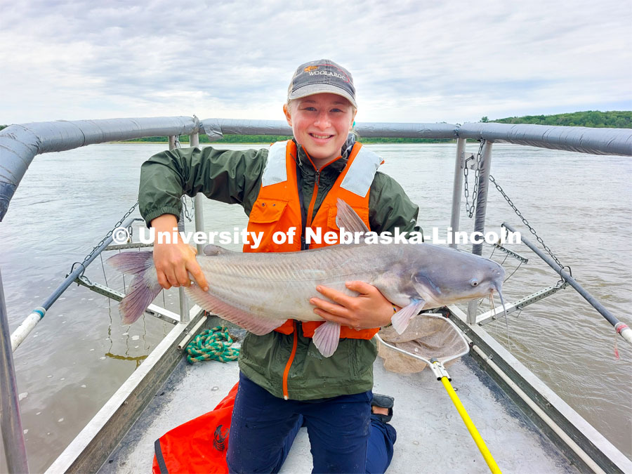 Ella Humphrey, a sophomore in Fisheries and Wildlife, holds a blue catfish taken from the Platte River while working during the summer of 2022 as a fisheries field technician. November 14, 2023. Contributed photo.