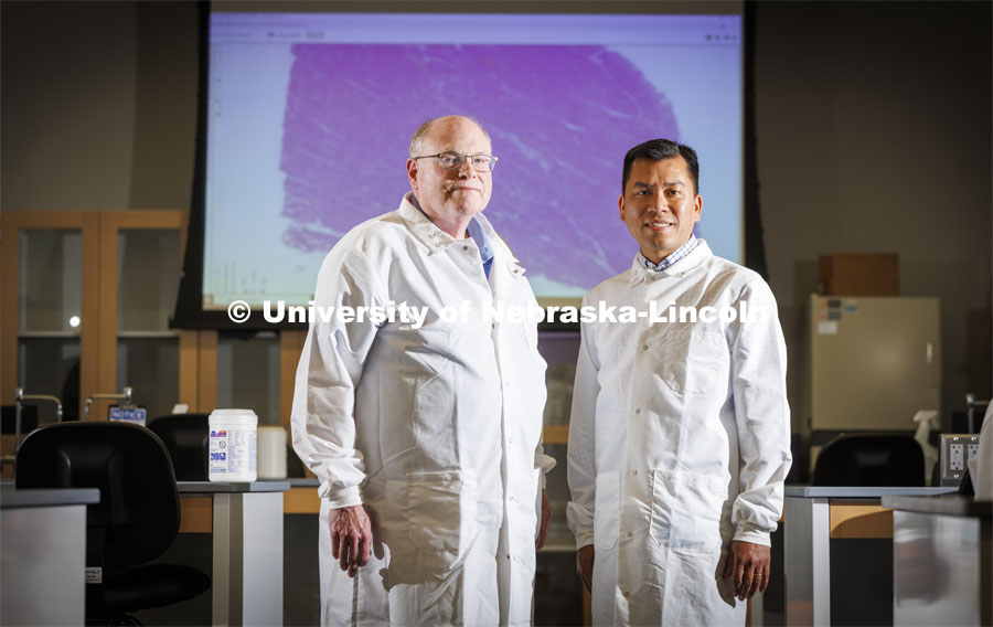 Scott McVey (left), professor and director of Nebraska’s School of Veterinary Medicine and Biomedical Sciences, and Hiep Vu, assistant professor of animal science at Nebraska, are working to catalog a pig’s protective proteins against the lethal African swine flu. Their work could lead to new breakthroughs in fighting the disease. June 15, 2022. Photo by Craig Chandler / University Communication.