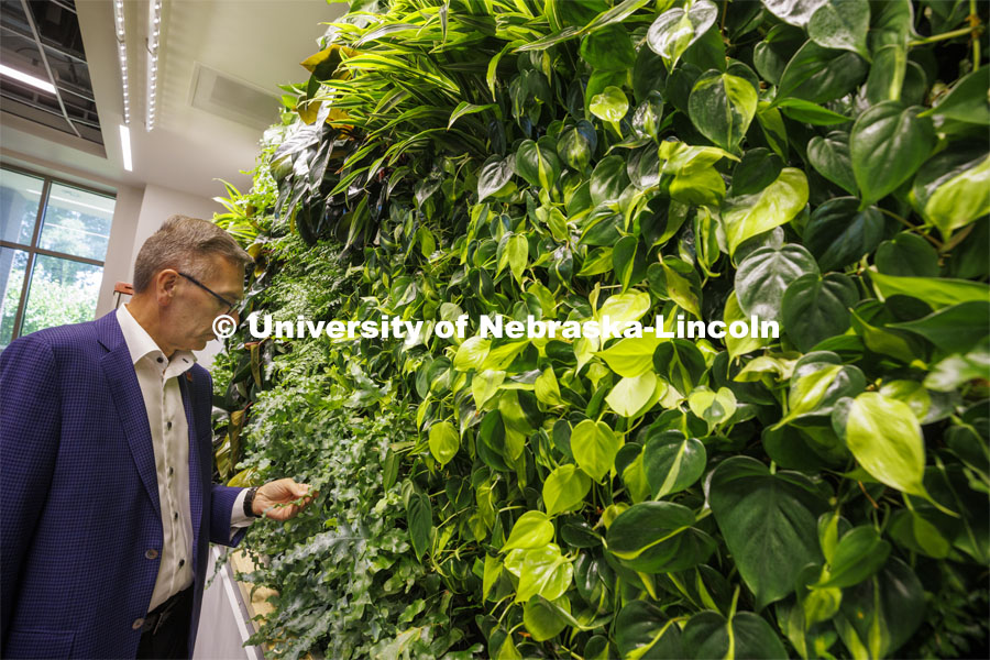 Chancellor Ronnie Green takes a closer look of a living wall in the new wellness area of the law library. The hydroponic wall is made of living plants. Green and donors take a tour of the renovated College of Law library. The $6 million renovation of the Marvin and Virginia Schmid Law Library began in May 2021 will be open in the fall. The project will provide new and rejuvenated spaces for the community. June 22, 2022. Photo by Craig Chandler / University Communication.