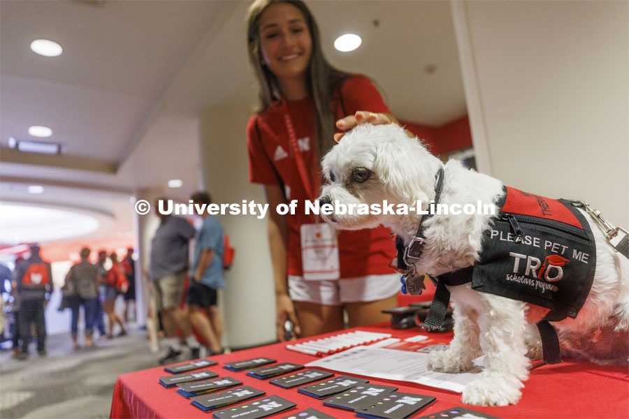Neo the Trio support dog is gets a scratch from NSE student Katie Torres of Plattsmouth. Neo welcomes students and parents at New Student Enrollment.  June 22, 2022.  Photo by Craig Chandler / University Communication. 