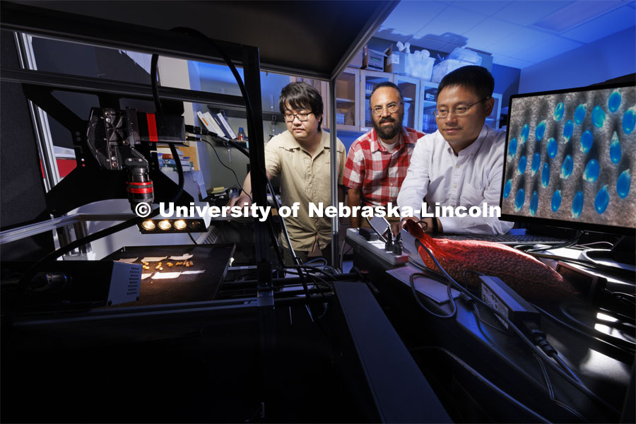 Tian Gao, Harkemal Walia and Hongfeng Yu have developed the new Hyperseed Imaging System that can identify seed lines and capture the nutritional value of seeds from crops. June 23, 2022.  Photo by Craig Chandler / University Communication. 