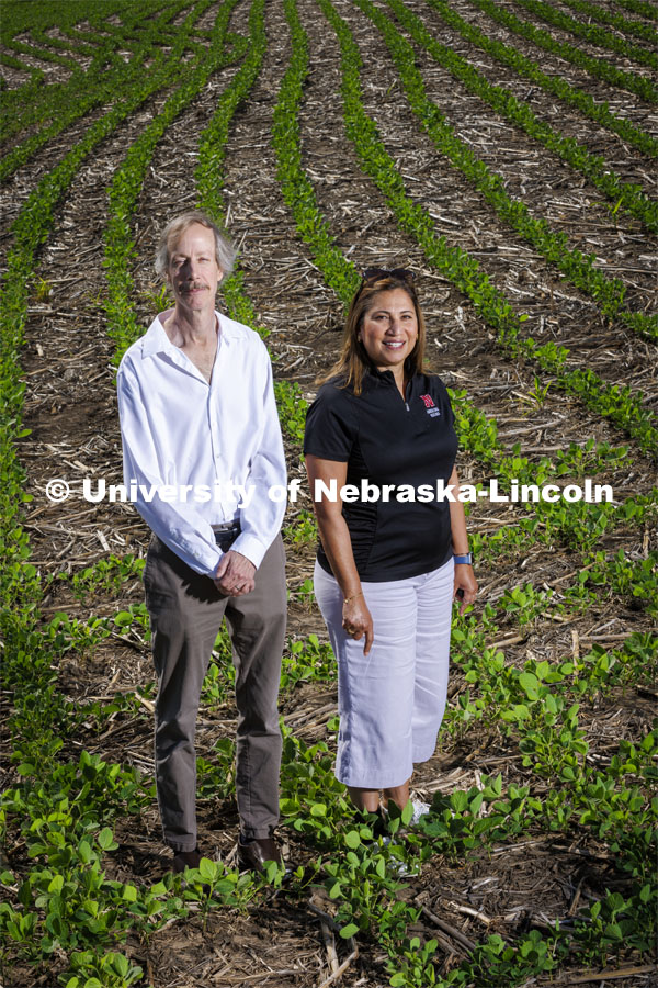 Craig Allen and Tala Awada are leading a team to establish the Network for Integrated Agricultural Resilience Research. Allen and Awada are pictured in a field. June 27, 2022. Photo by Craig Chandler / University Communication.