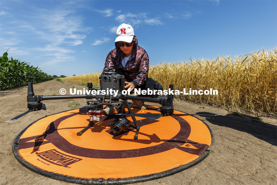 Biquan Zhao, PhD student in Biological Systems Engineering, changes the batteries on an autonomous drone photographing a field of triticale at the research fields at 84th and Havelock. Biological Systems Engineering fieldwork with drones for phenotyping fields. June 27, 2022. Photo by Craig Chandler / University Communication.