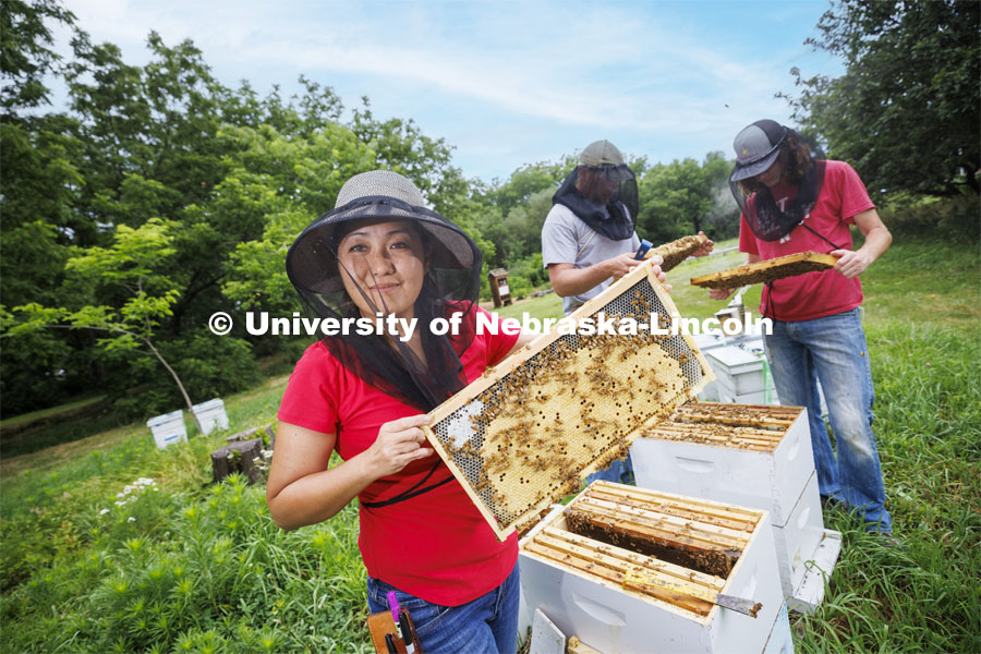 Judy Wu-Smart, Associate Professor in Entomology, has USDA-NIFA funding for bee keeping and educational training kits. July 1, 2022. Photo by Craig Chandler / University Communication.