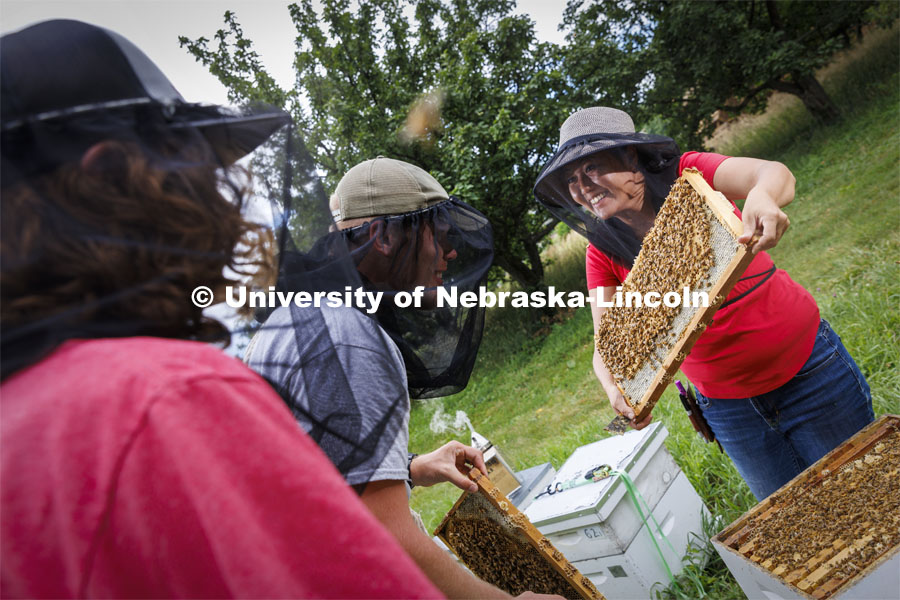 Judy Wu-Smart, Associate Professor in Entomology, has USDA-NIFA funding for bee keeping and educational training kits. July 1, 2022. Photo by Craig Chandler / University Communication.