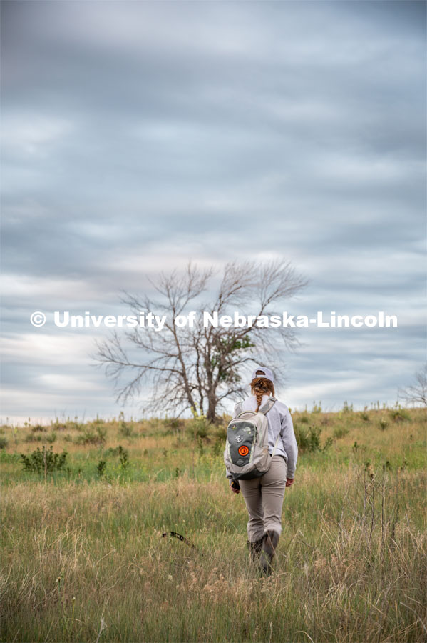 PhD student Grace Schuster walks to her next point count site for her research project on grassland bird communities. She is working in a pasture southwest of North Platte. July 6, 2022. Photo by Iris McFarlin, AWESM Lab Communications.